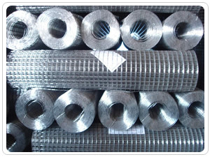 Anticorrosion 1/4 Inch Welded Wire Mesh Electric Galvanized Net Panjang 5-50m