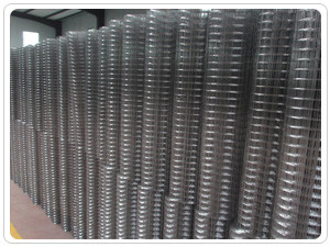 tahan karat 1/2 Inch Welded Wire Mesh Electric Galvanizing To Wire Drawing antiwear