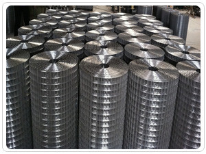 316/316L /304L/304 Stainless Steel Welded Wire Mesh 0.4M-2M Lebar Anti Oksidasi